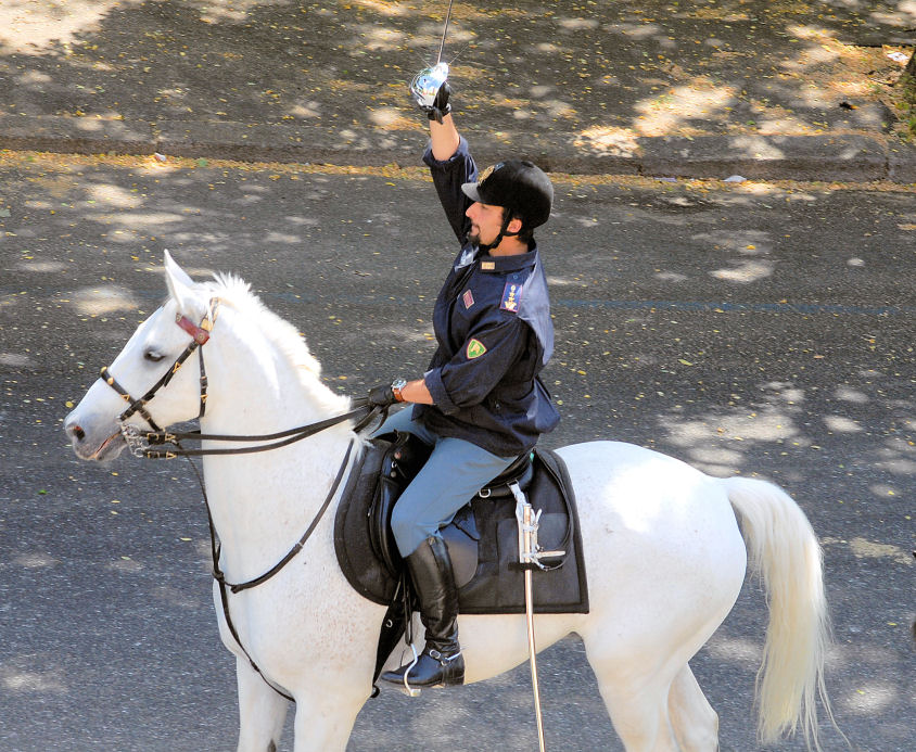 Xilocopa e ancora polizia a cavallo